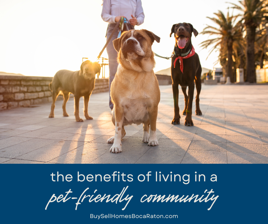 The Benefits of Living in a Pet-Friendly Community in Boca Raton
