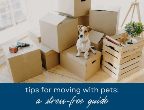 Tips for Moving with Pets to Boca Raton: A Stress-Free Guide