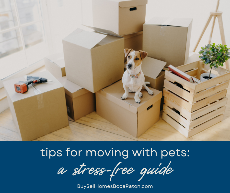 Tips for Moving with Pets to Boca Raton: A Stress-Free Guide