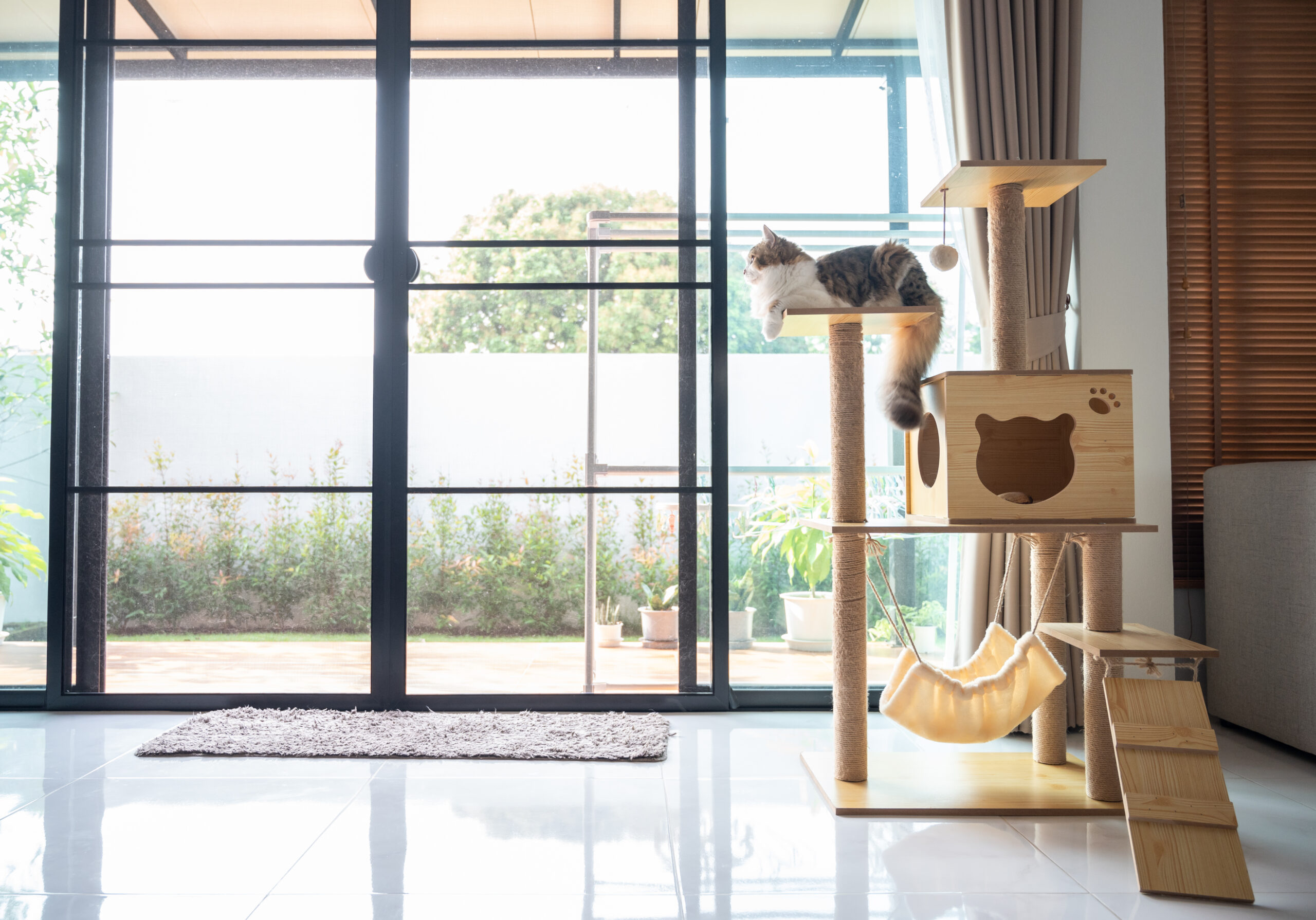 Pet-Friendly Interior Design: Styling Your Boca Raton Home