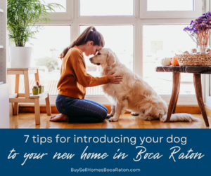 7 Tips for Introducing Your Dog to Your New Home in Boca Raton