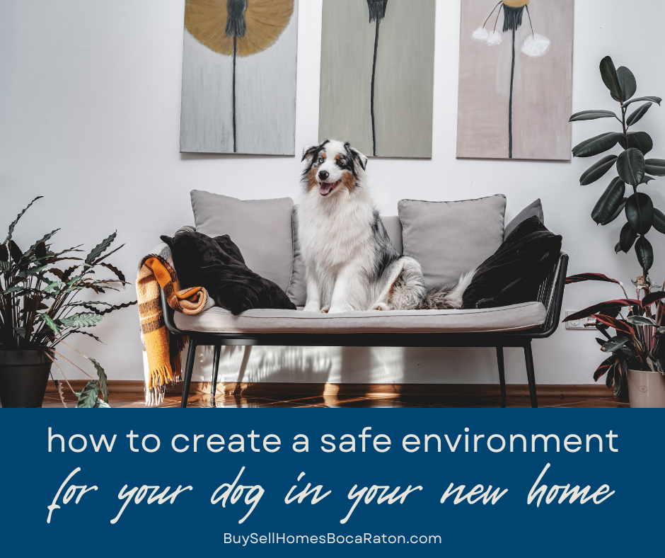 How to Create a Safe Environment for Your Dog in Your New Boca Raton Home