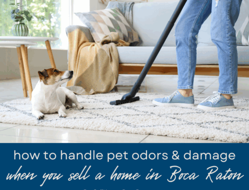 How to Handle Pet Odors and Damage When You Sell Your Home in Boca Raton