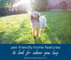 Pet-Friendly Home Features to Look for When You Buy