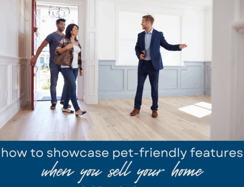 Tips for Showcasing Pet-Friendly Features When You Sell Your Home in Boca Raton