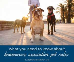 Everything You Need to Know About HOA Pet Rules in Boca Raton
