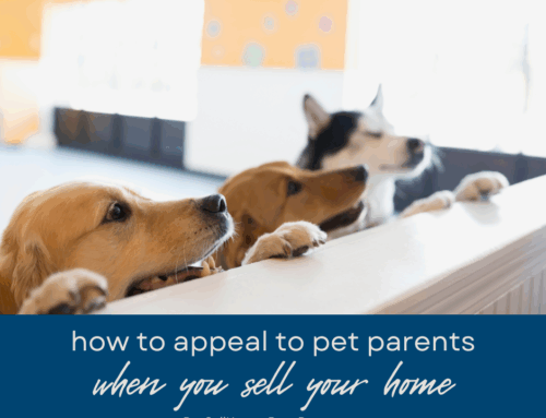 How to Appeal to Pet Owners When Selling Your Boca Raton Property