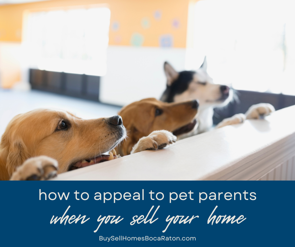 How to Appeal to Pet Owners When Selling Your Boca Raton Property