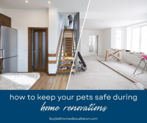 How to Keep Your Pets Safe During Home Renovations in Boca Raton