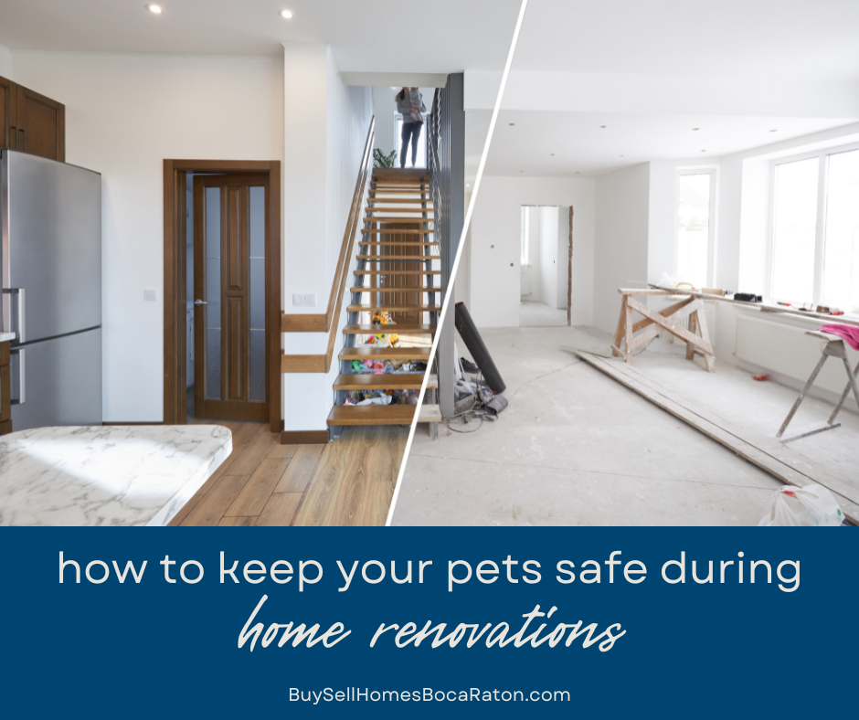 How to Keep Your Pets Safe During Home Renovations in Boca Raton