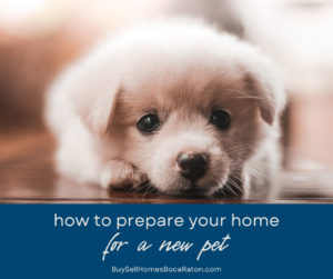 How to Prepare Your Boca Raton Home for New Pets