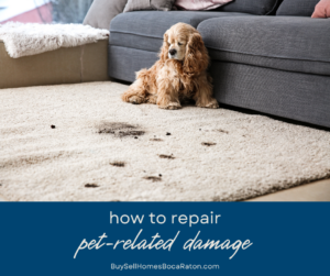 How to Repair Pet-Related Damage Before Selling Your Boca Raton Home