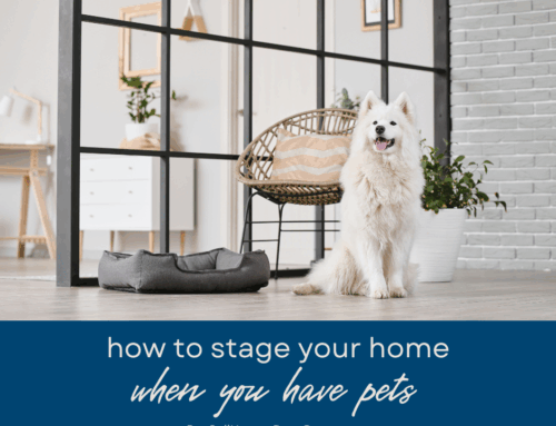 How to Stage Your Boca Raton Home When You Have Pets