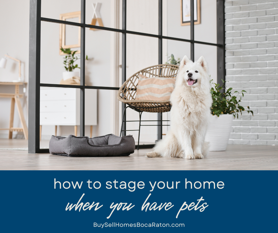 How to Stage Your Boca Raton Home When You Have Pets