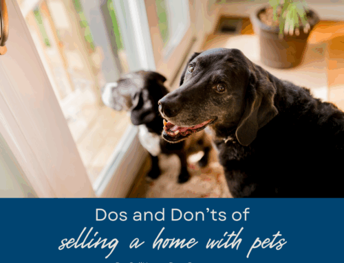 The Dos and Don’ts of Selling a Home with Pets in Boca Raton