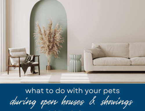 What to Do With Your Pets During Open Houses and Showings