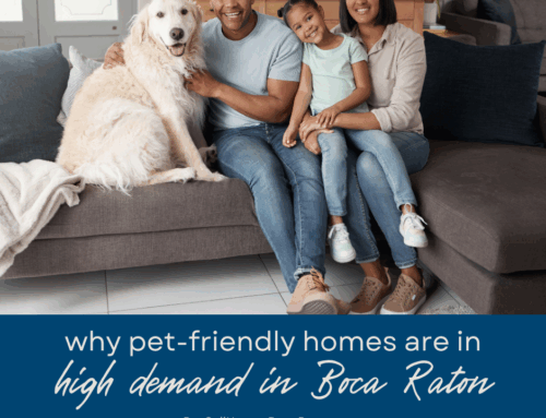 Why Pet-Friendly Homes Are in High Demand in Boca Raton
