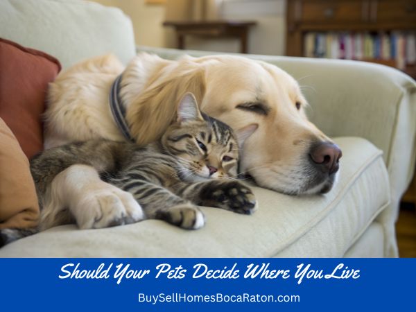 Should Your Pets Decide Where You Live