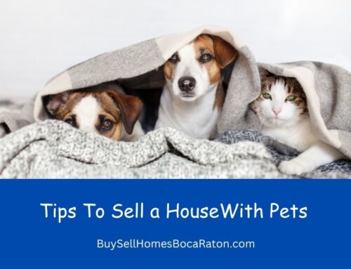 Tips to sell a house with pets