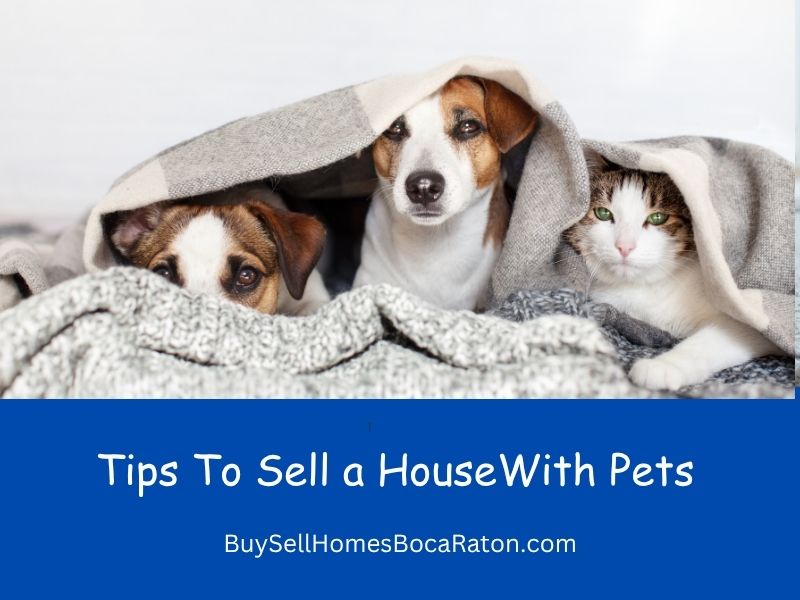 tips to sell a house with pets in boca raton fl