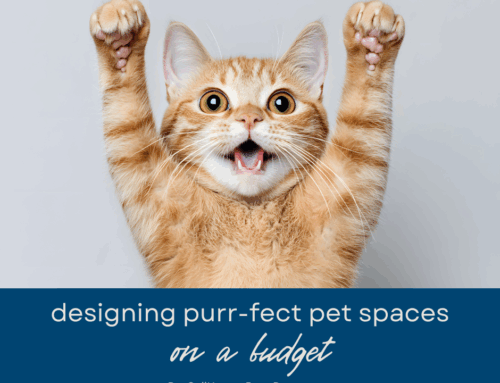 Cat Condo Couture: Designing Purr‑fect Pet Spaces on a Budget