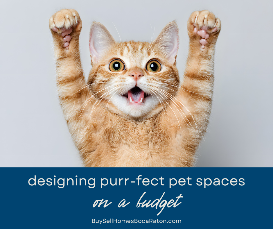 Cat Condo Couture: Designing Purr‑fect Pet Spaces on a Budget