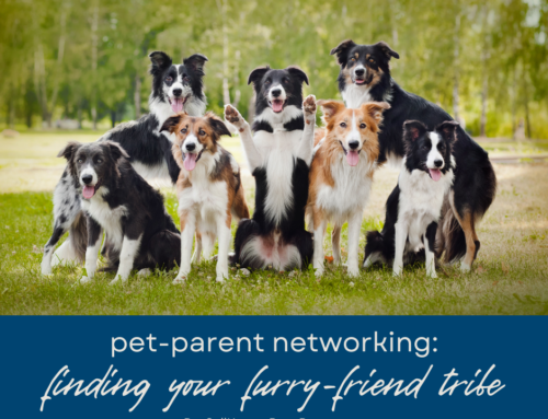 Pet‑Parent Networking: Finding Your Boca Raton Furry-Friend Tribe