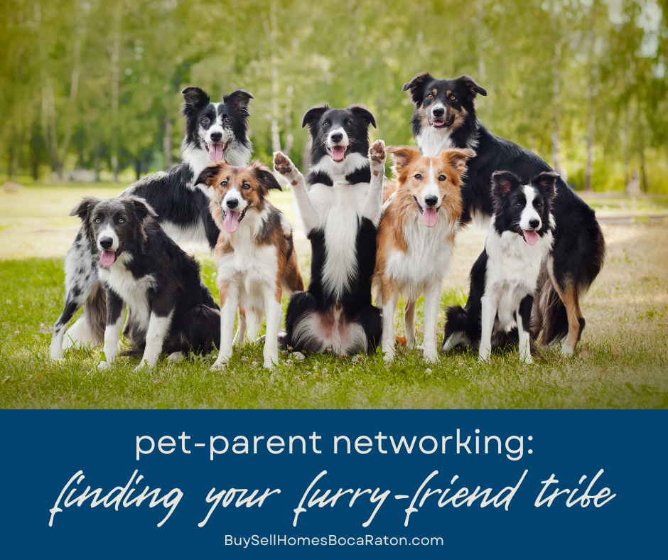 Pet‑Parent Networking: Finding Your Boca Raton Furry-Friend Tribe
