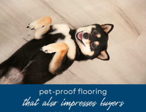 Pet-Proof Flooring That Also Wows Buyers: Boca Raton Edition