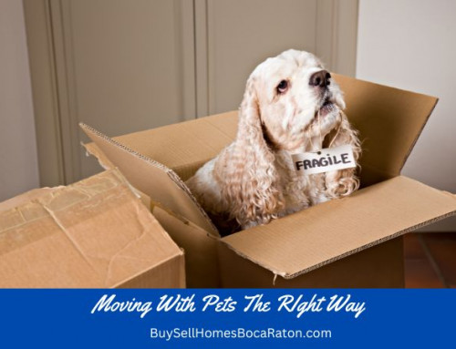 Moving With Pets The Right Way