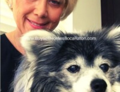 Honored to Be Recognized as a Trusted Realtor in Palm Beach County