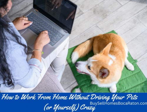 How to Work From Home Without Driving Your Pets (or Yourself) Crazy