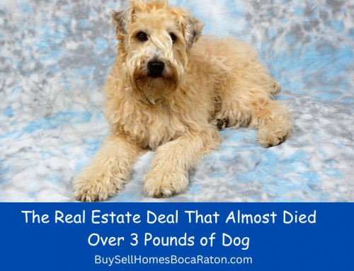 The Real Estate Deal That Almost Died Over 3 Pounds of Dog
