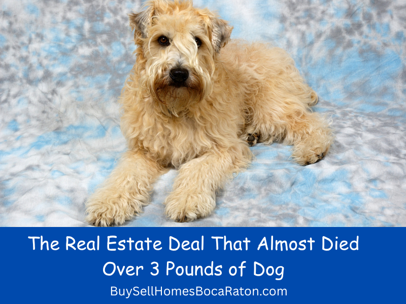 The Real Estate Deal That Almost Died Over 3 Pounds of Dog