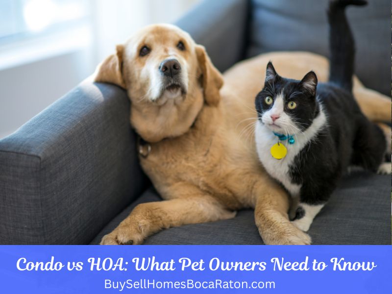 Condo vs HOA: What Pet Owners Need to Know