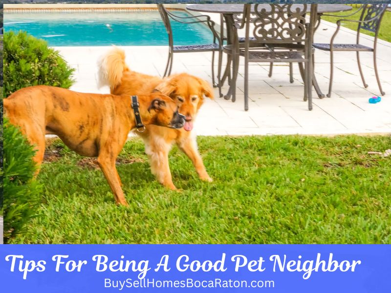 Tips for Being a Good Pet Neighbor