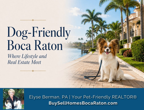 Dog-Friendly Boca Raton: Where Lifestyle and Real Estate Meet