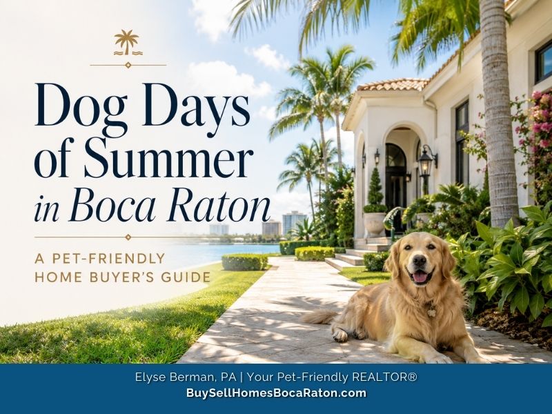 The Dog Days of Summer in Boca Raton: A Pet-Friendly Home Buyer’s Guide
