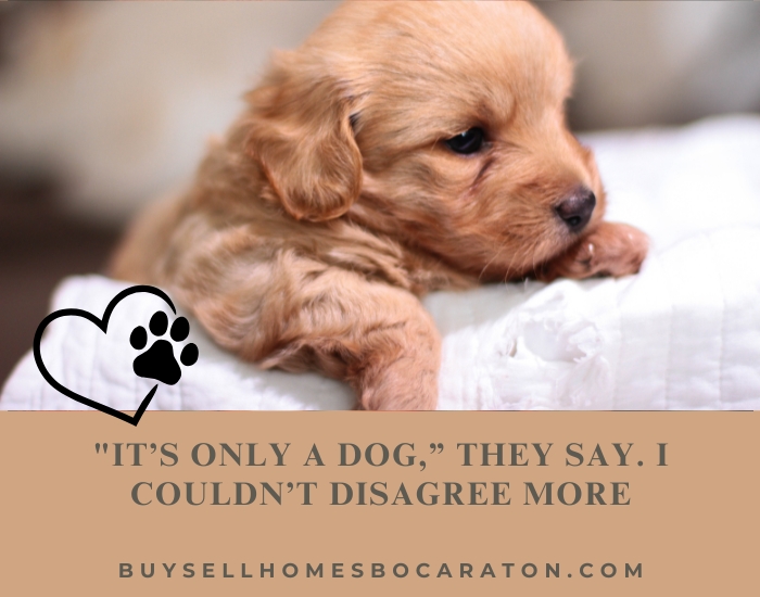 “It’s Only a Dog,” They Say. I Couldn’t Disagree More